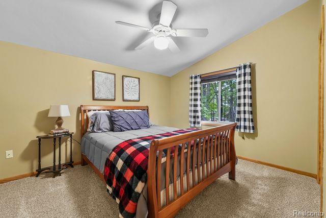 9210 High Road, Roscommon, MI 48653 — Photo 30