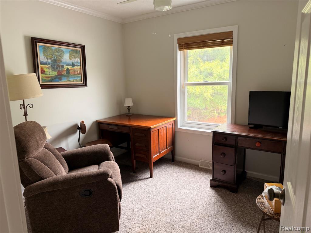 337 Lafayette Street, Manchester, MI 48158 — Photo 21