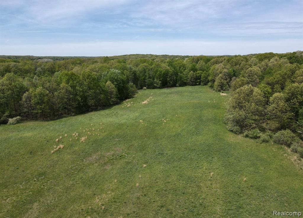 8450 Pepper Road, Holly, MI 48442 — Photo 11
