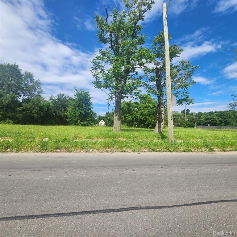 4400 JUNCTION Street, Detroit, MI 48210 — Photo 2