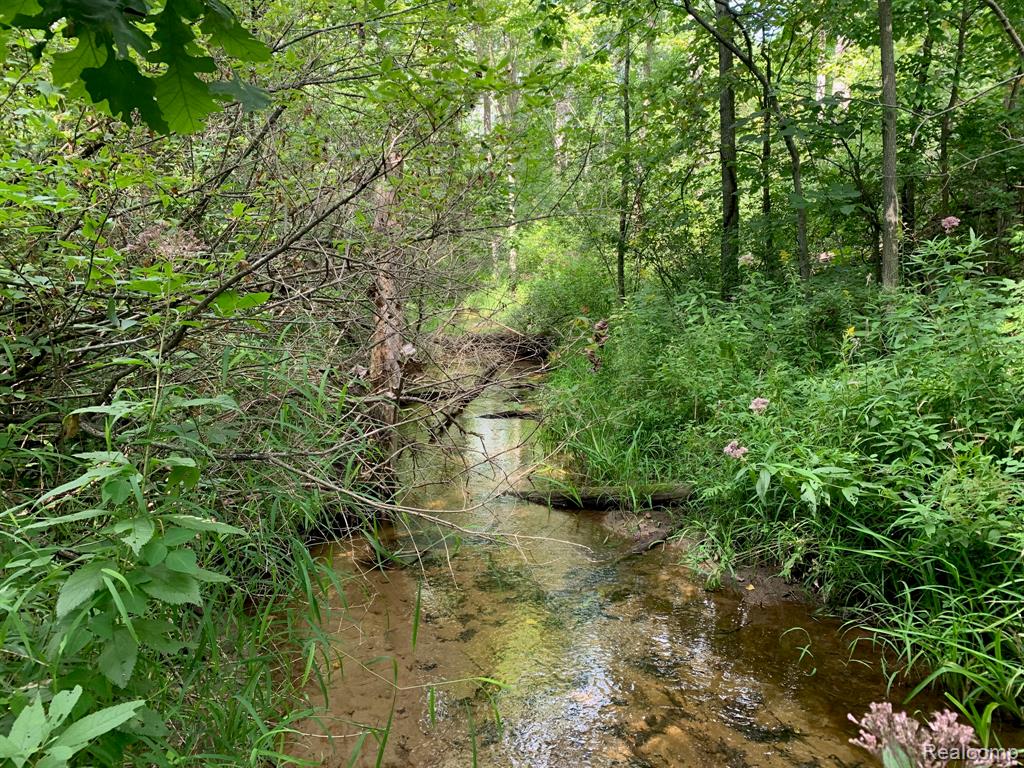 1474 Secretariat Way, Howell, MI 48843 — Photo 42