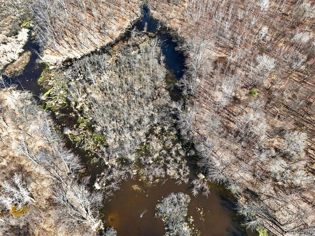 VL Herbst, Brighton, MI 48114 — Photo 14