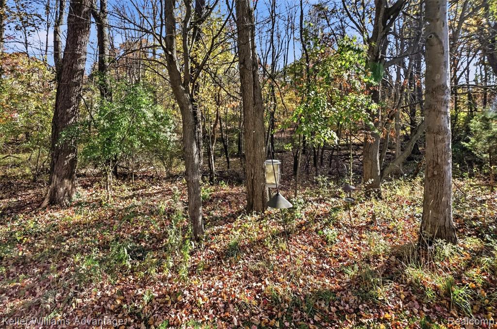 2750 Maple Forest Drive, Wixom, MI 48393 — Photo 30