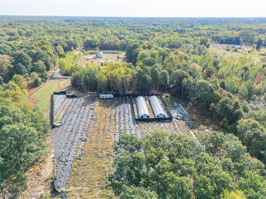 5852 NW County Line Road, Coleman, MI 48618 — Photo 23