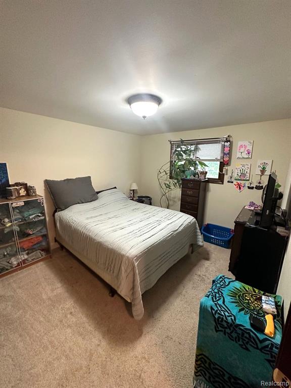 5601 ASTER Drive, Troy, MI 48085 — Photo 19