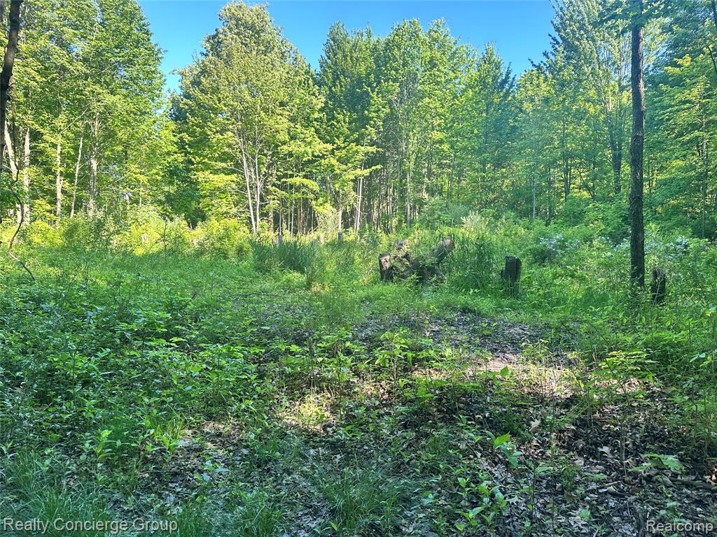 2681 Fisk Road, Howell, MI 48843 — Photo 12