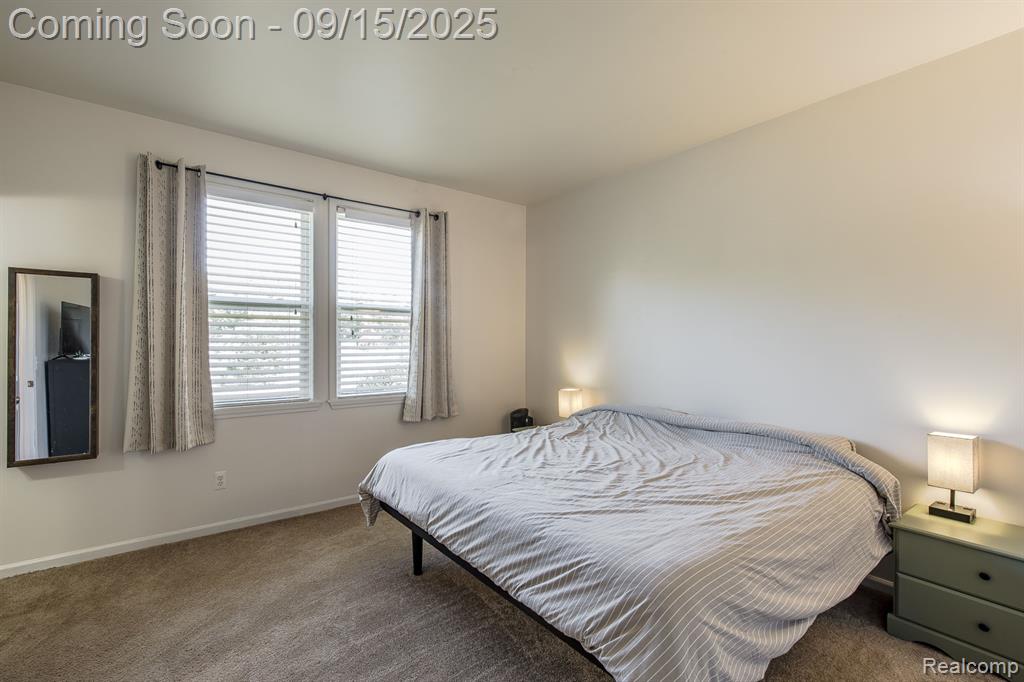 10455 Scarlet Oak Drive, Ypsilanti, MI 48198 — Photo 24