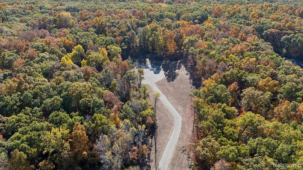 Parcel 3 E Coon Lake Rd, Howell, MI 48843 — Photo 4