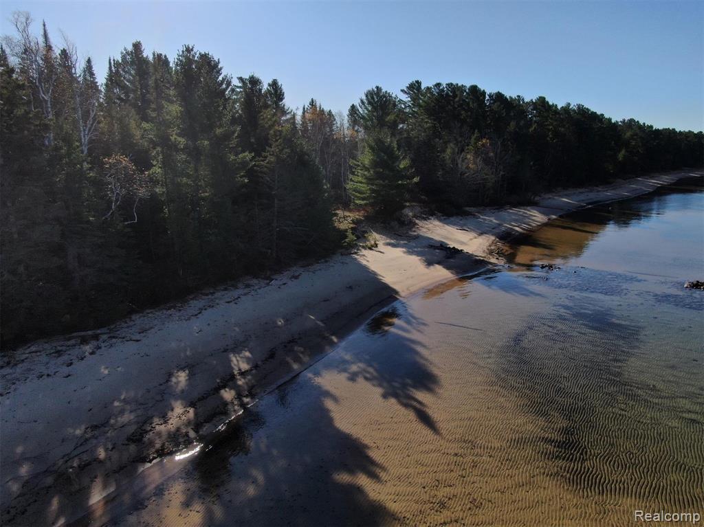 4680 S Pineshore Row, Brimley, MI 49783 — Photo 19