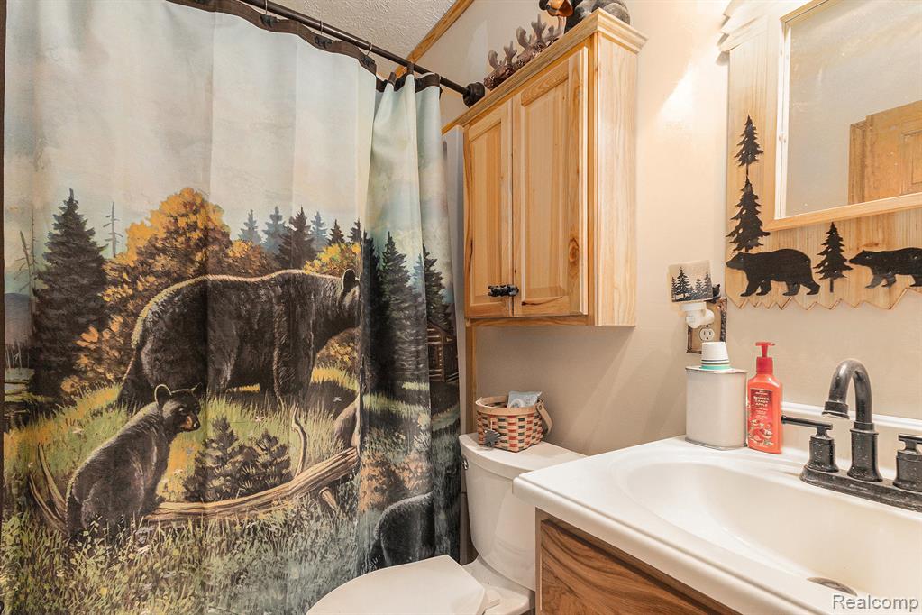 4977 E Buck Rub Road, Custer, MI 49405 — Photo 15