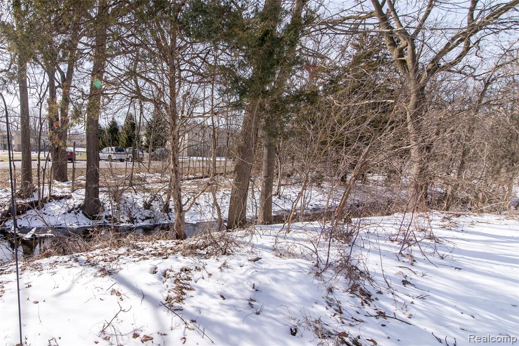 61047 Heritage Blvd, South Lyon, MI 48178 — Photo 3