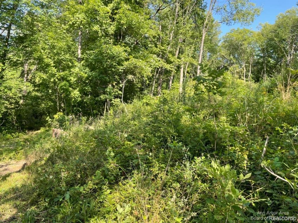 VL Denton Hills Road, Fenton, MI 48430 — Photo 2