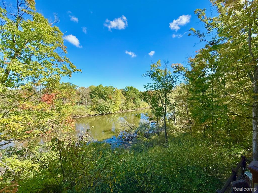 7372 River Road, Flushing, MI 48433 — Photo 28
