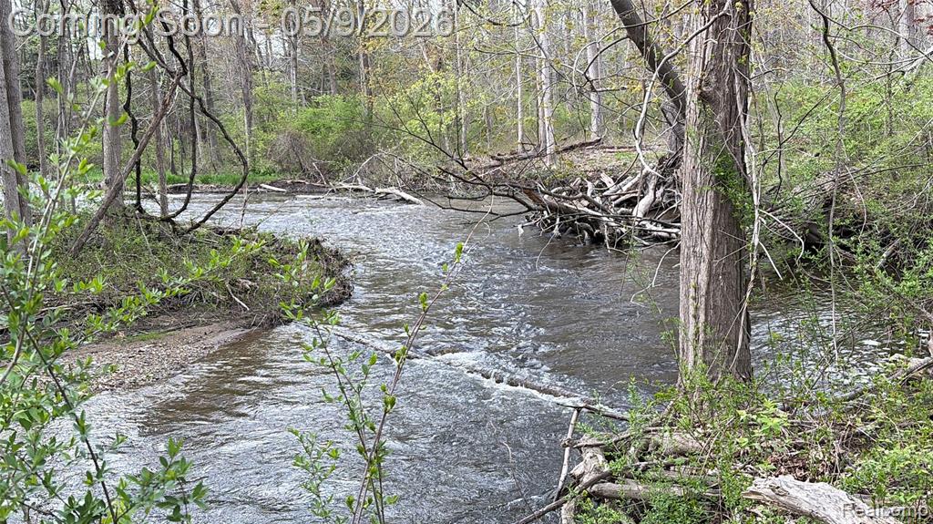 1081 E Tienken Road N, Rochester, MI 48306 — Photo 8