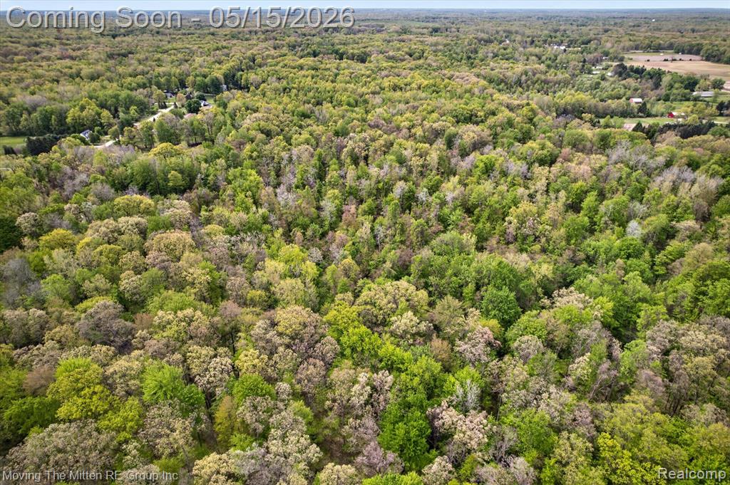 22530 Bohn Road, Belleville, MI 48111 — Photo 21