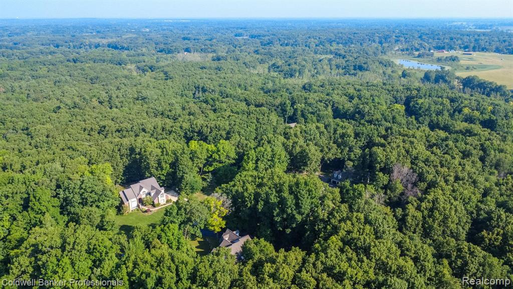 15317 Oak Hollow Drive, Holly, MI 48442 — Photo 41