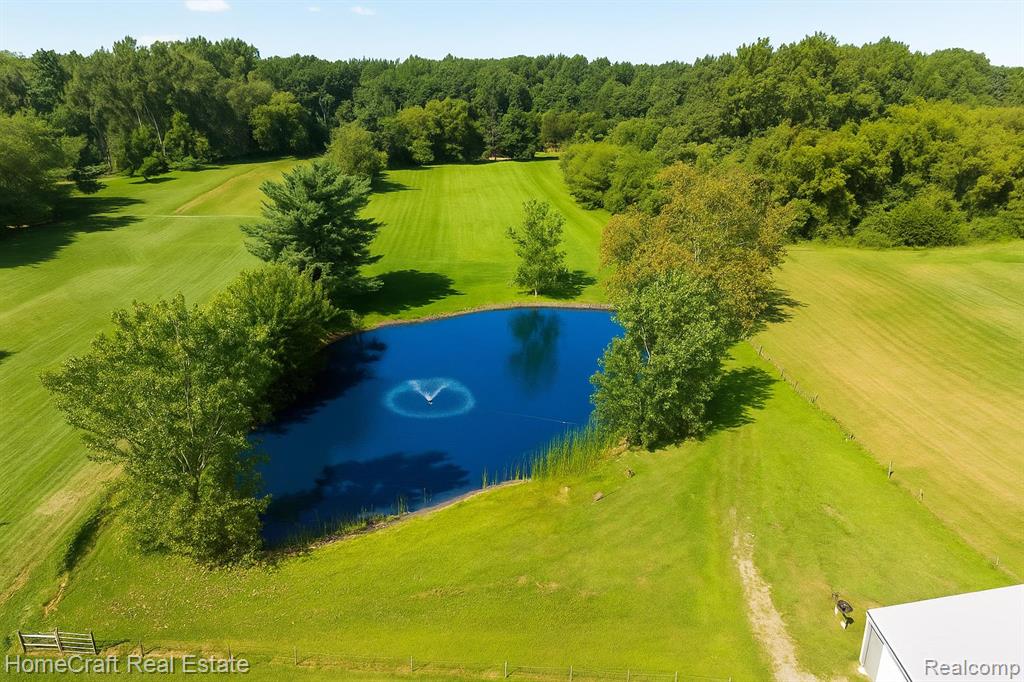 6211 NOLLAR Road, Whitmore Lake, MI 48189 — Photo 47