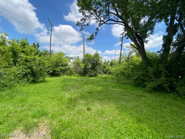 58250 Main Street, New Haven, MI 48048 — Photo 9