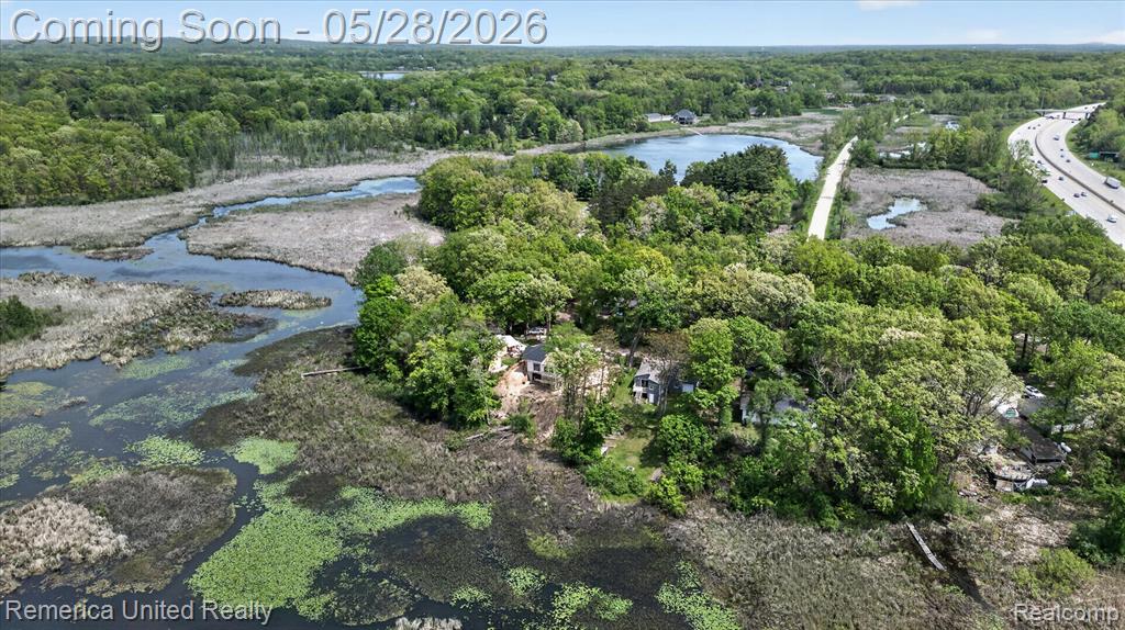 3980 Ben Hur Drive, Brighton, MI 48114 — Photo 35