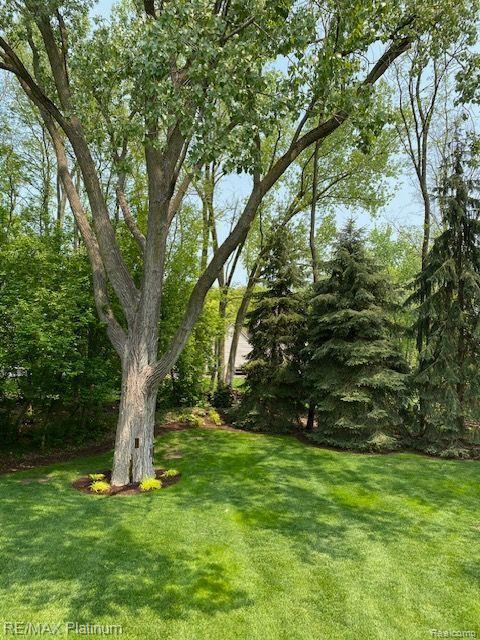 4355 Oak Pointe Drive, Brighton, MI 48116 — Photo 4