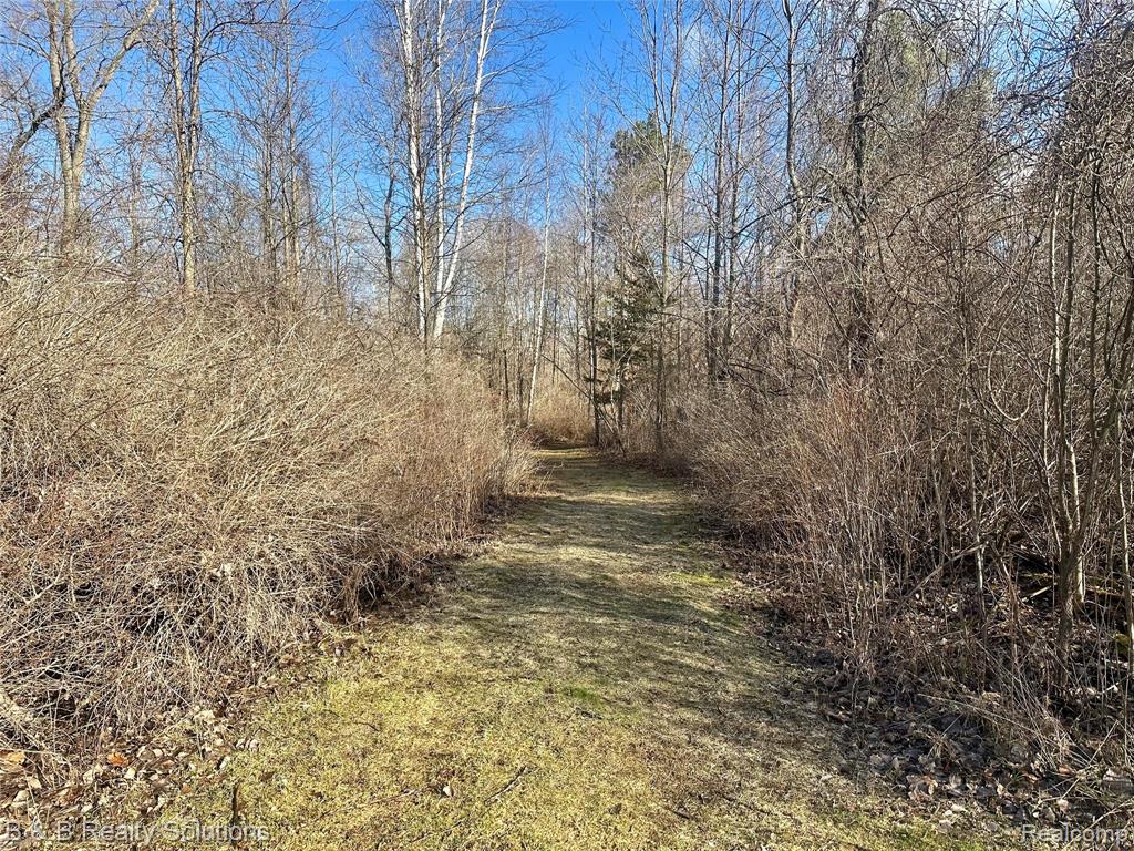 3280 Waltan Road, Vassar, MI 48768 — Photo 48