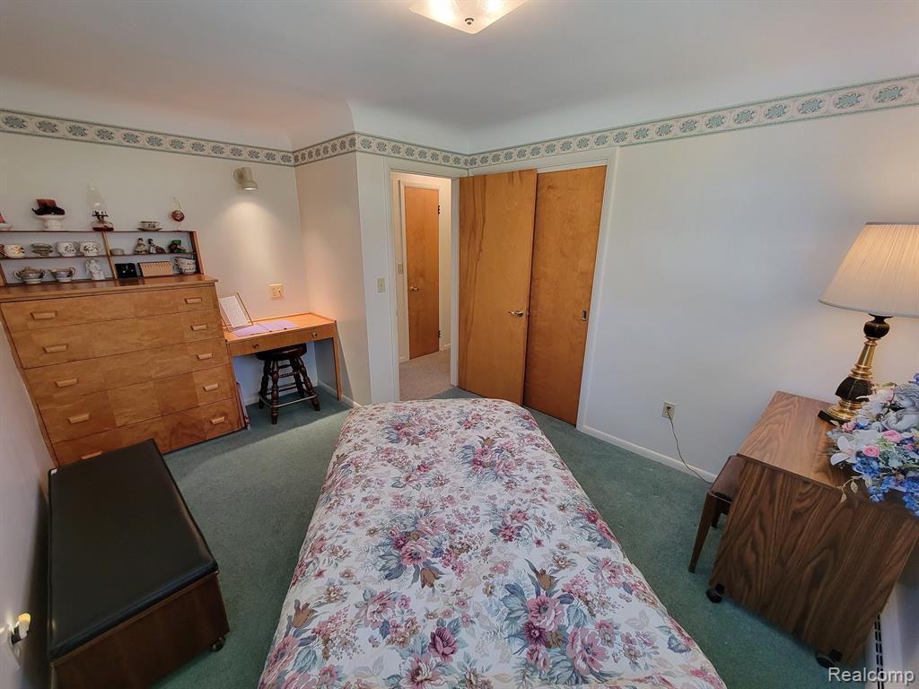 42 S FLOWER Street, Croswell, MI 48422 — Photo 10