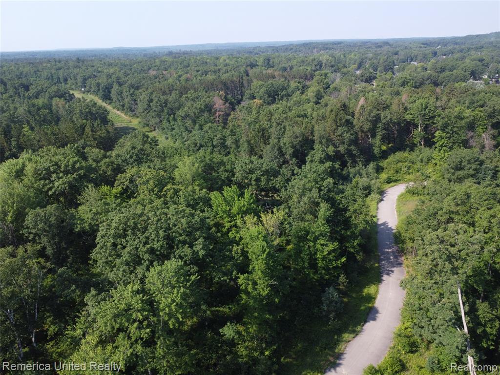 VL Pondside Dr Lot 13, Farwell, MI 48622 — Photo 21