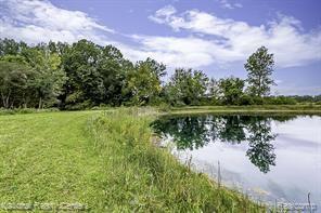 4894 Indian Creek Drive, Jackson, MI 49201 — Photo 9