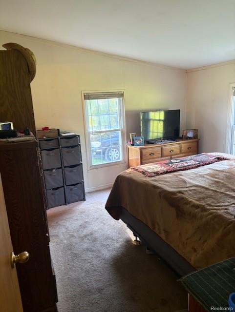 4114 Snoblin Road, North Branch, MI 48461 — Photo 14
