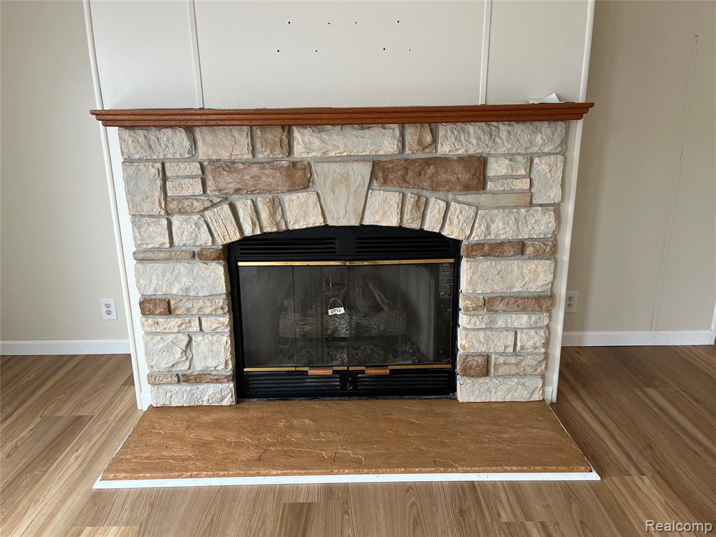 320 Rudbeckia Court, Erie, MI — Photo 4