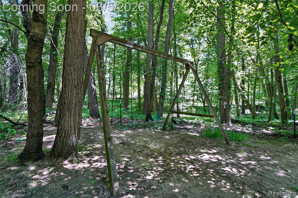 15129 Locust Grove Drive, Byron, MI 48418 — Photo 46