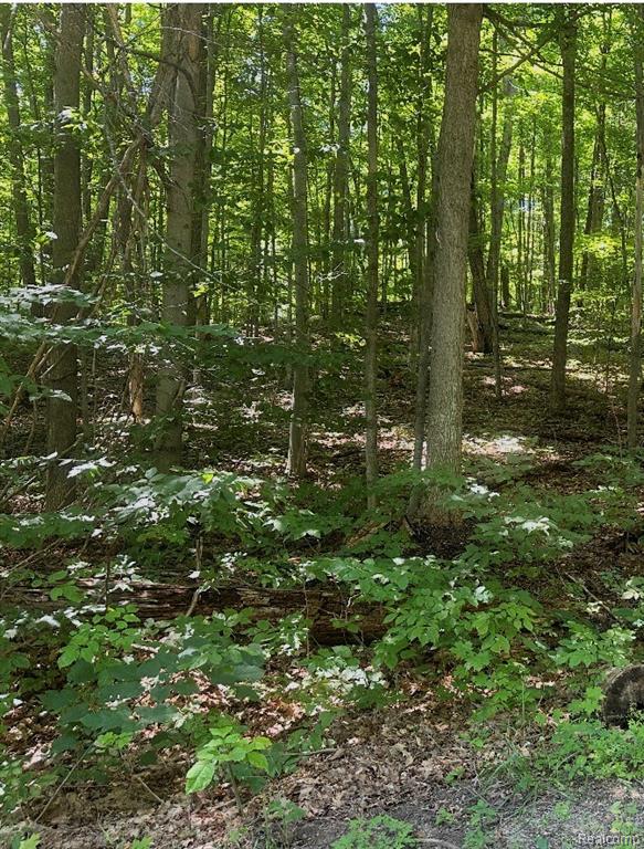 Lot 185 Forestgrove Court ForestGrove Road, Mancelona, MI 49730 — Photo 7