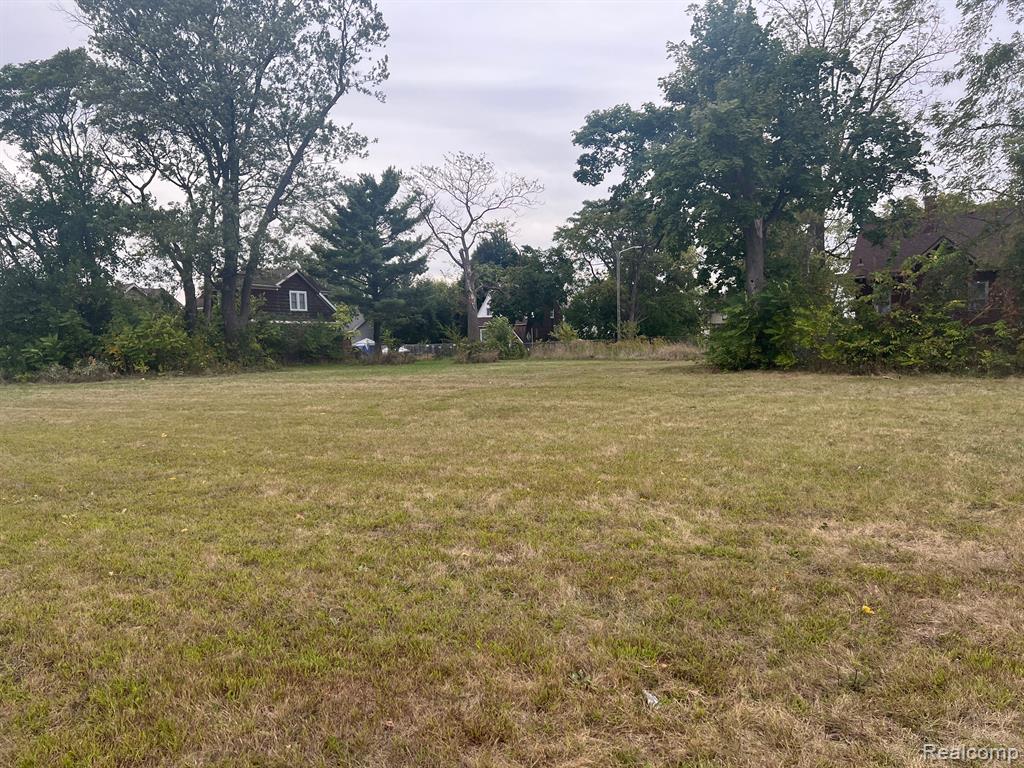10372 W CHICAGO, Detroit, MI 48204 — Photo 2