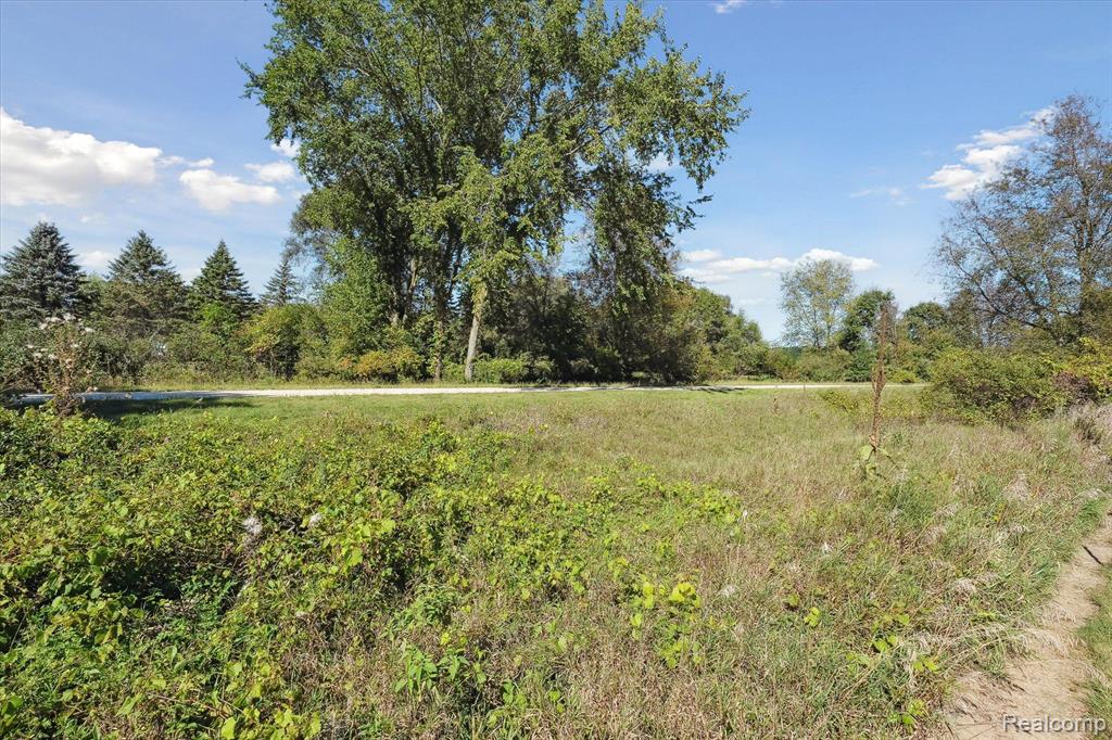 4445 BROGAN Road, Stockbridge, MI 49285 — Photo 49