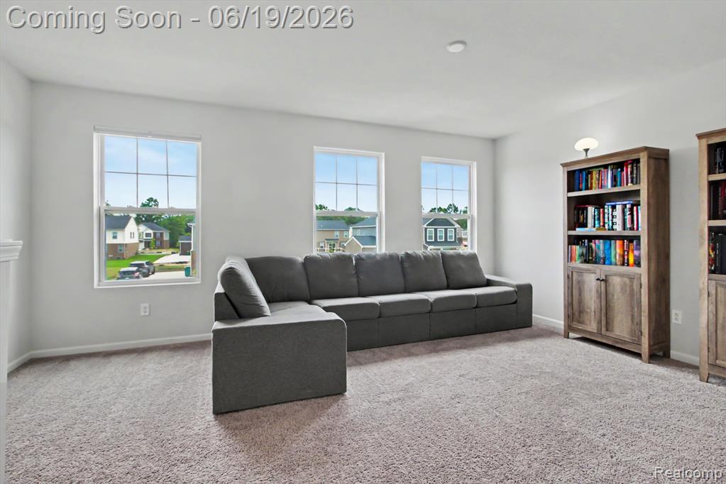14502 Laurelwood Drive, Belleville, MI 48111 — Photo 13
