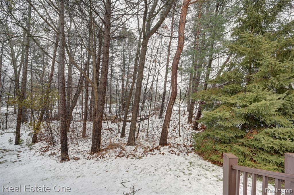 6564 Summit Ridge, Clarkston, MI — Photo 48