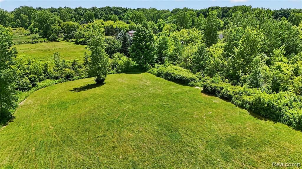 4461 Ray Road, Grand Blanc, MI 48439 — Photo 7