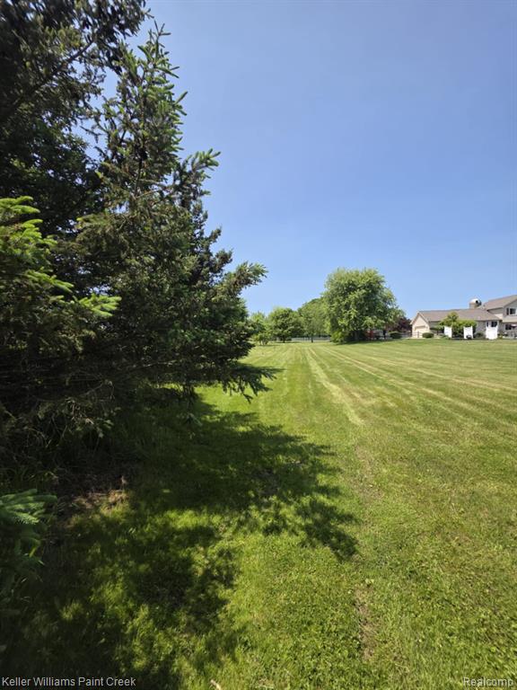 3993 Single Tree Circle, Dryden, MI 48428 — Photo 31
