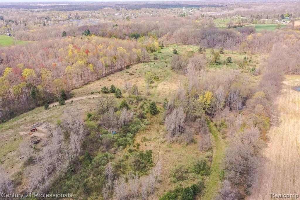 10207 DODGE Road, Otisville, MI 48463 — Photo 37