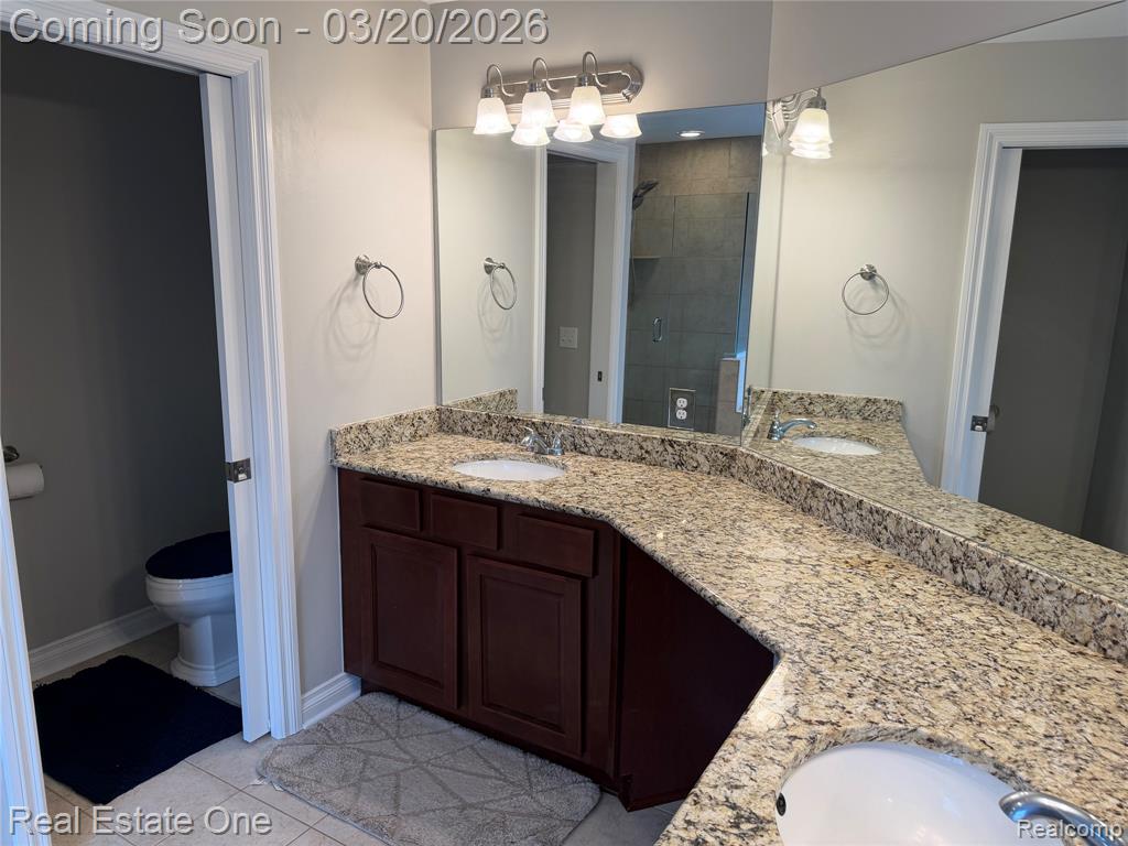 58206 Sunflower Circle N, New Hudson, MI 48165 — Photo 29