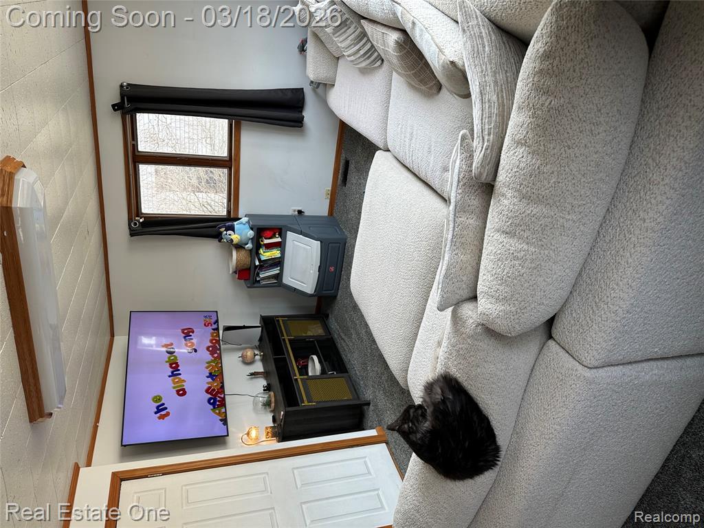 200 S Hayes Street, Farwell, MI 48622 — Photo 21
