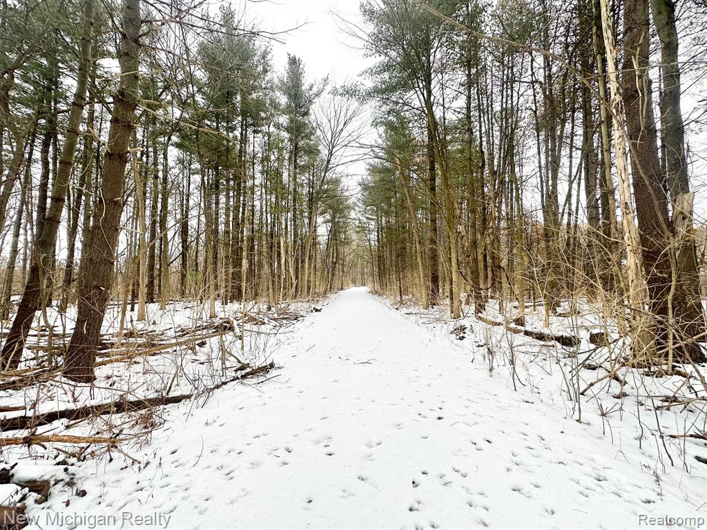 11461 WHITE LAKE Road, Fenton, MI, 48430