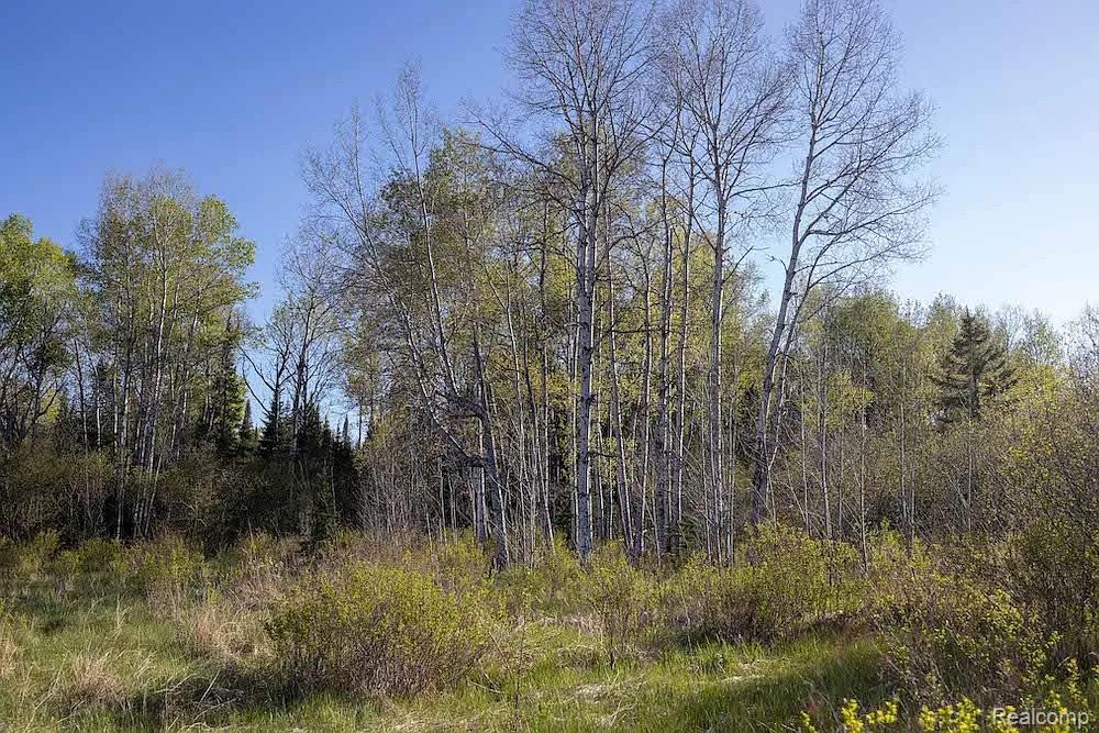 18031 State Highway M28, Newberry, MI 49868 — Photo 56