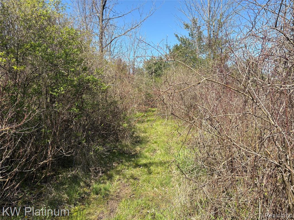 Parcel C Wicha Drive, Burtchville, MI 48059 — Photo 18