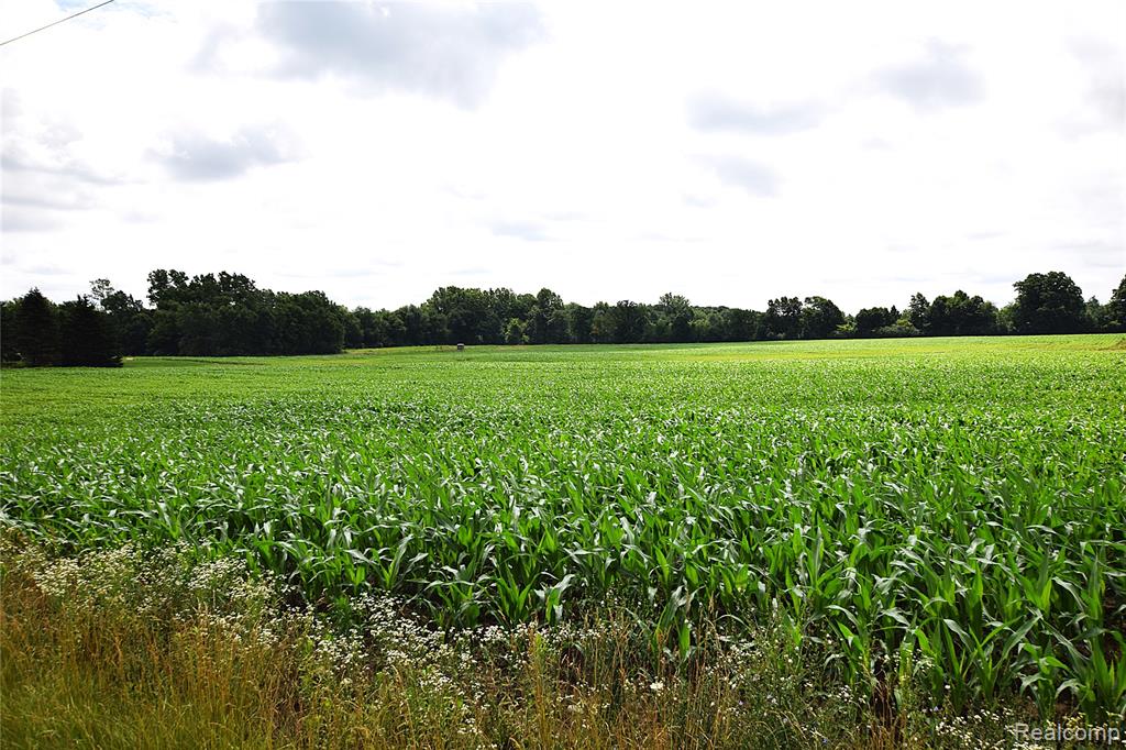 V/L N Irish Road, Otisville, MI 48463 — front exterior