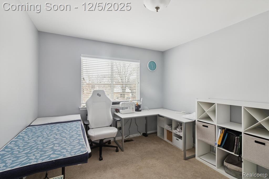 41512 Pheasant Creek Drive, Canton, MI 48188 — Photo 33