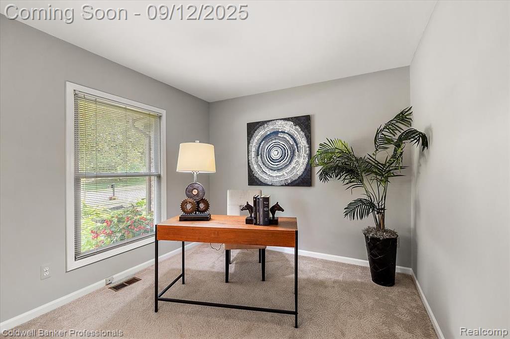 49238 Plum Tree Drive, Plymouth, MI 48170 — Photo 18