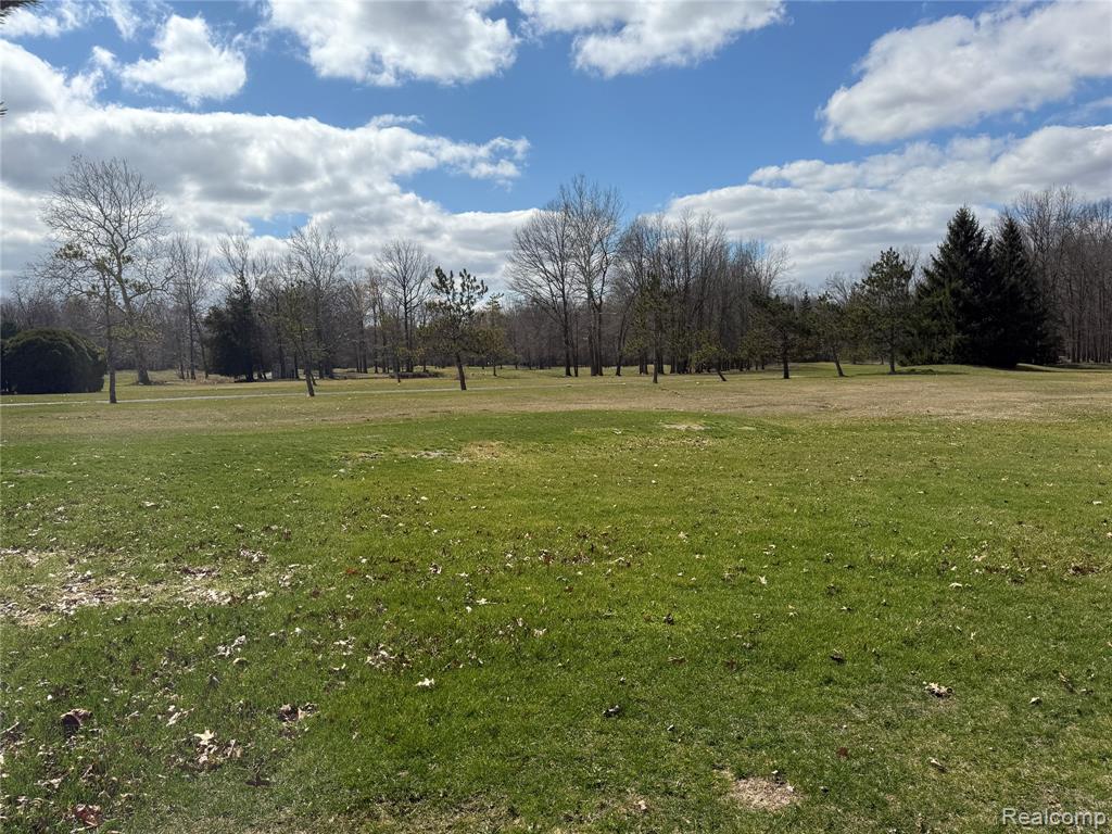 12915 Sumpter Road, Carleton, MI 48117 — Photo 9