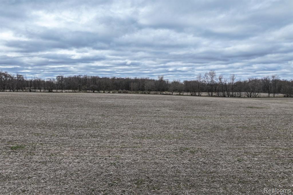 VL 52.5 Acres Goodall Road, Durand, MI 48429 — Photo 6