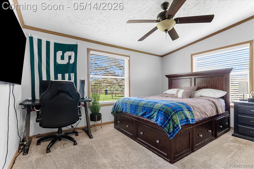 7935 Ravenswood Road, Goodells, MI — Photo 20